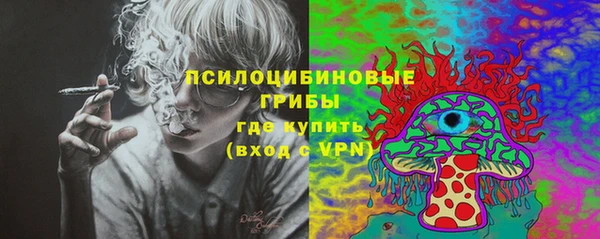 Альфа ПВП Арсеньев